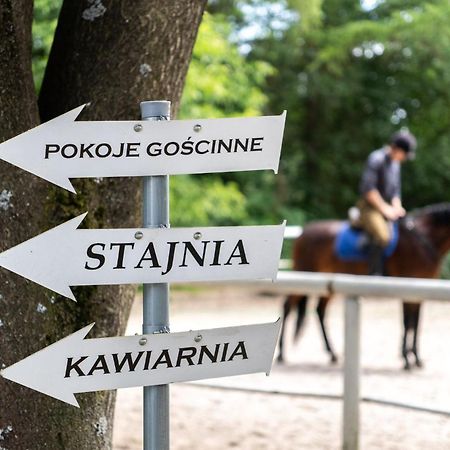 Pokoje Goscinne Cheval Krakau Buitenkant foto