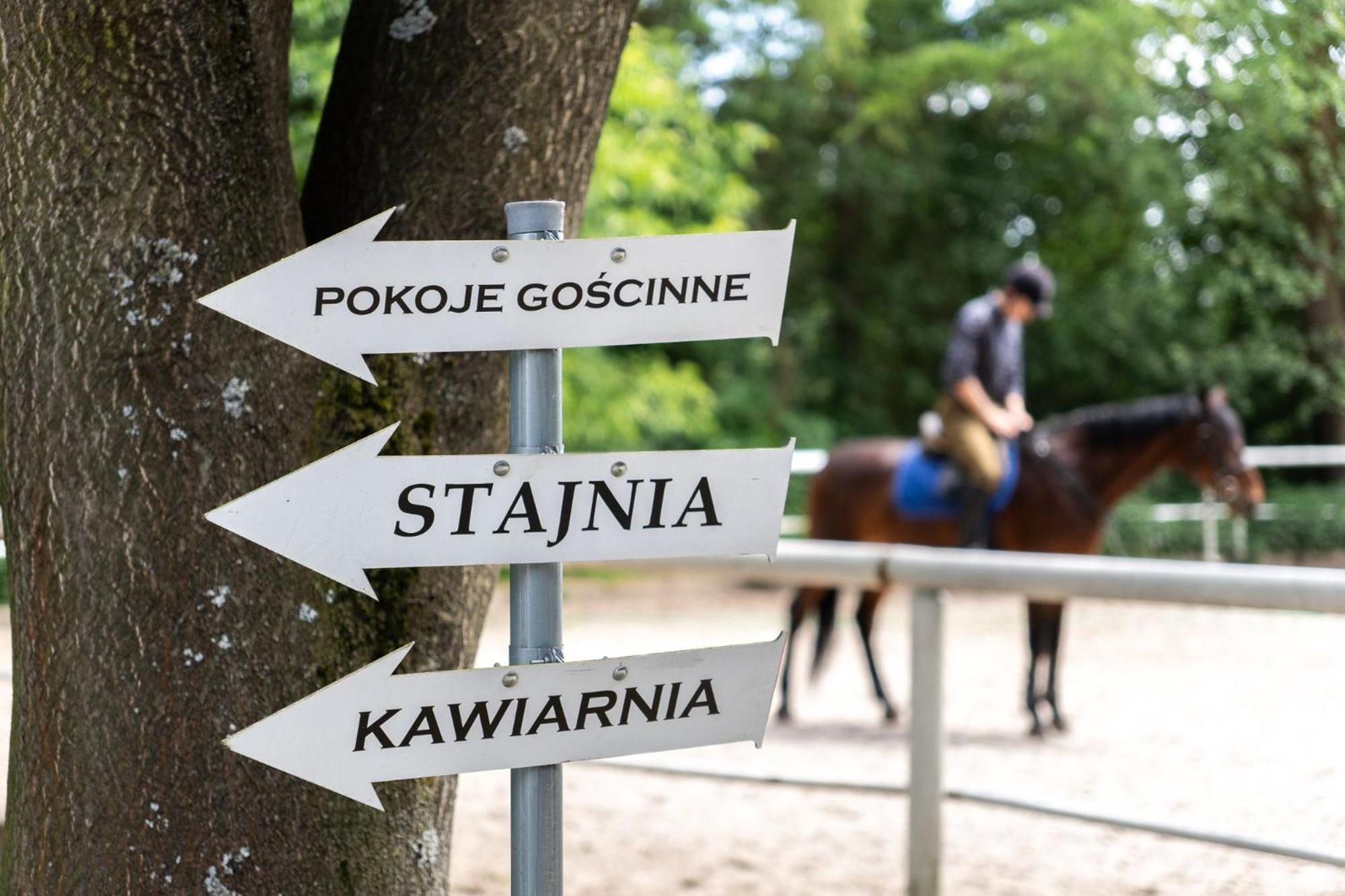 Pokoje Goscinne Cheval Krakau Buitenkant foto